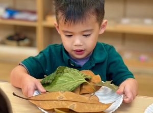 Preschool In Katy